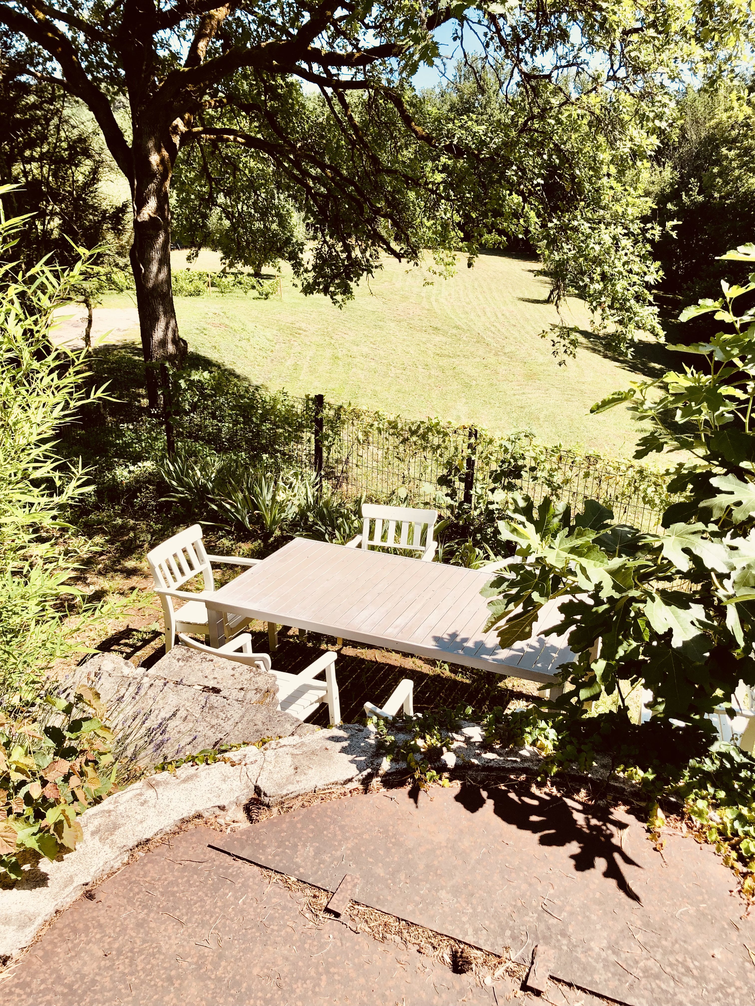 Domaine Lajanèze, Montcabrier - photo 11