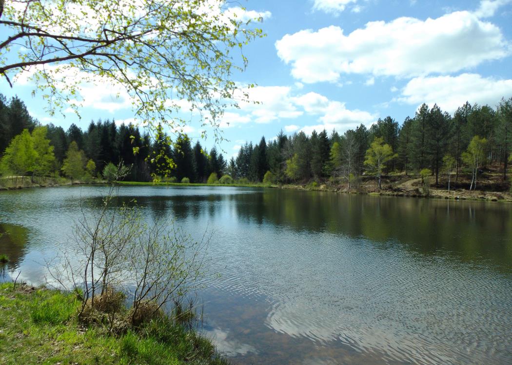 Plan d'eau de sagne