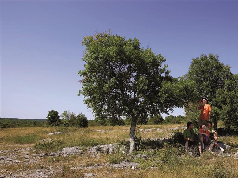 Sur le Causse d'Issendolus