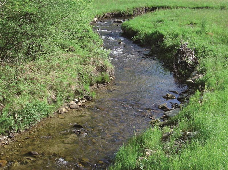 Sousceyrac : Ruisseau du Cayla