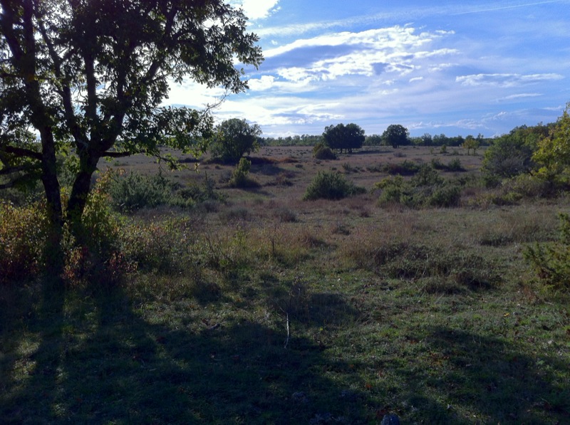 Lalbenque - Paysage