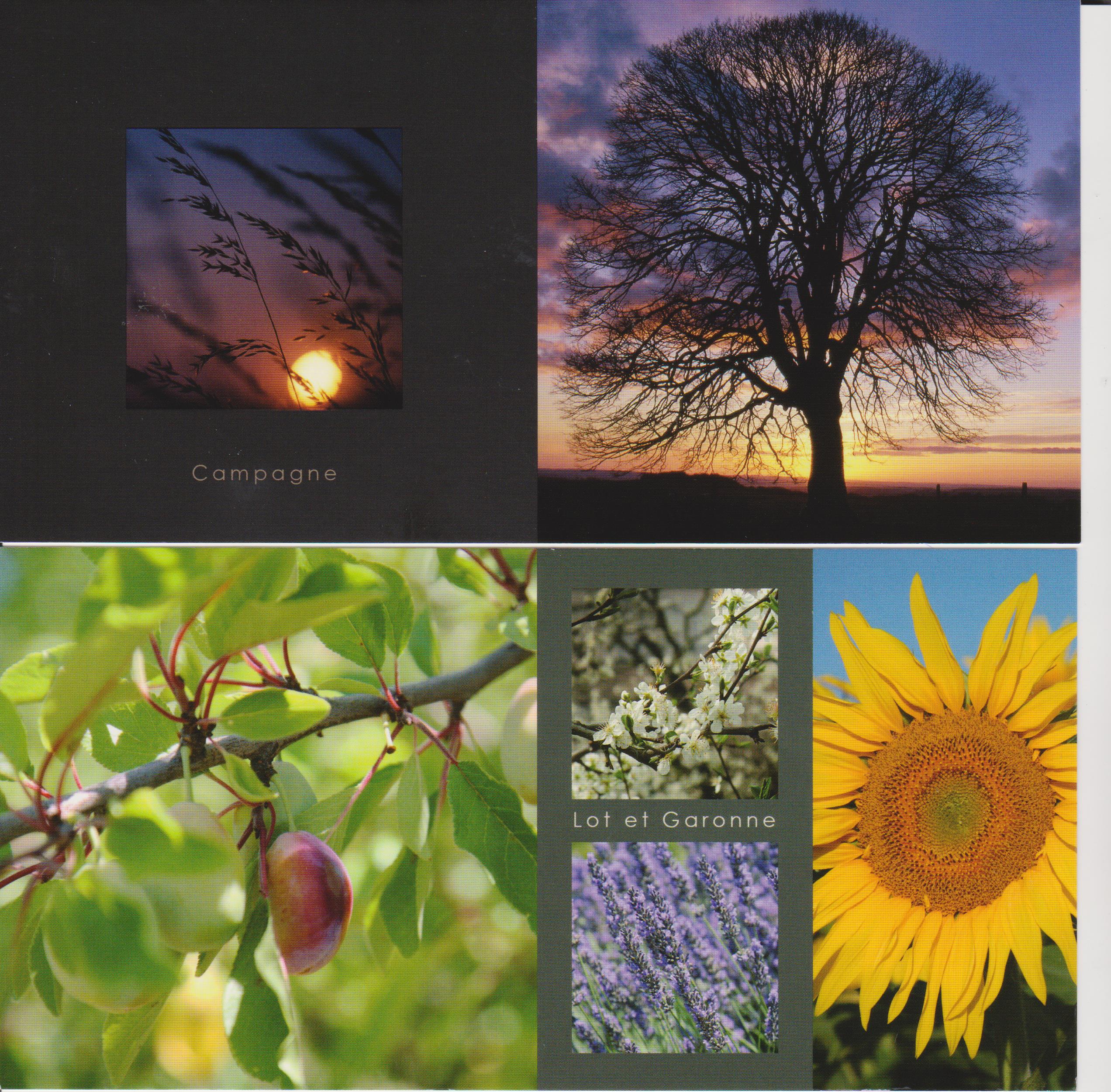 Gîte de Bonaguil Holidays, Soturac - photo 27