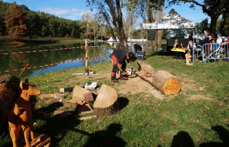 Foire forestière du Lot au Lac de Tolerme, Gorses - photo 6