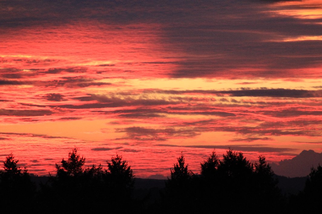 Domaine d'Aurel : Le Tillou, Rouffilhac - photo 13