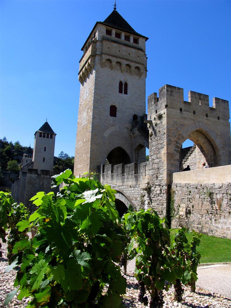 Jardin d'Ivresse