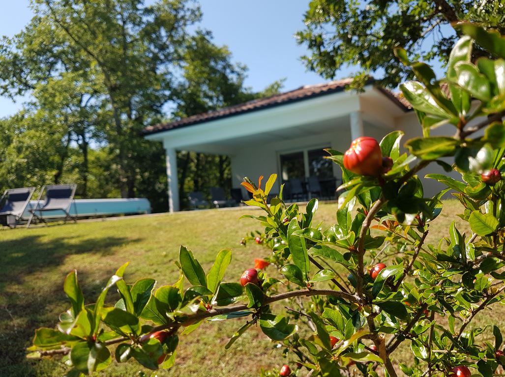 Les Cayrous, Luzech - photo 7