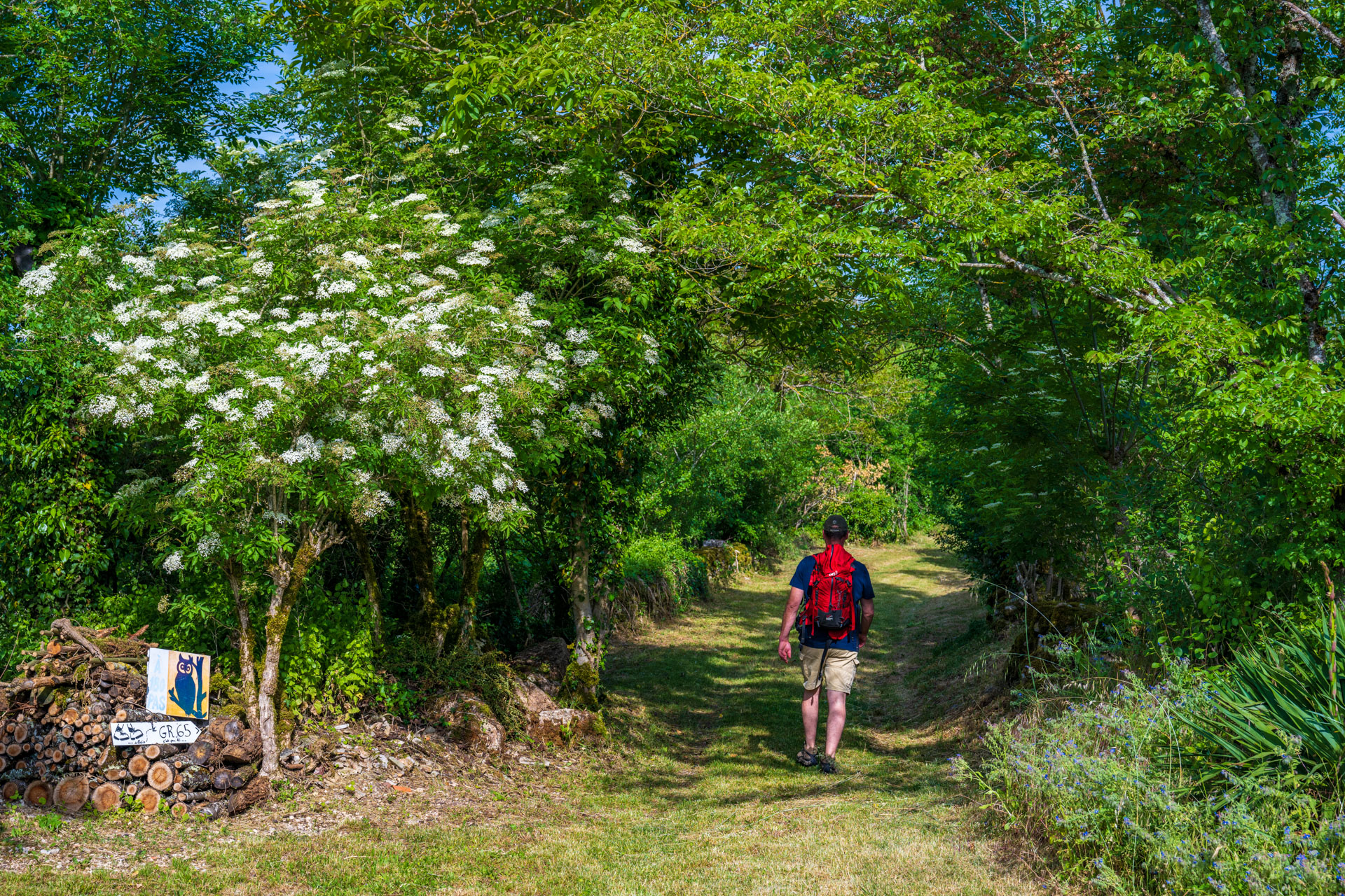 La Hulotte, Limogne-en-Quercy - photo 11