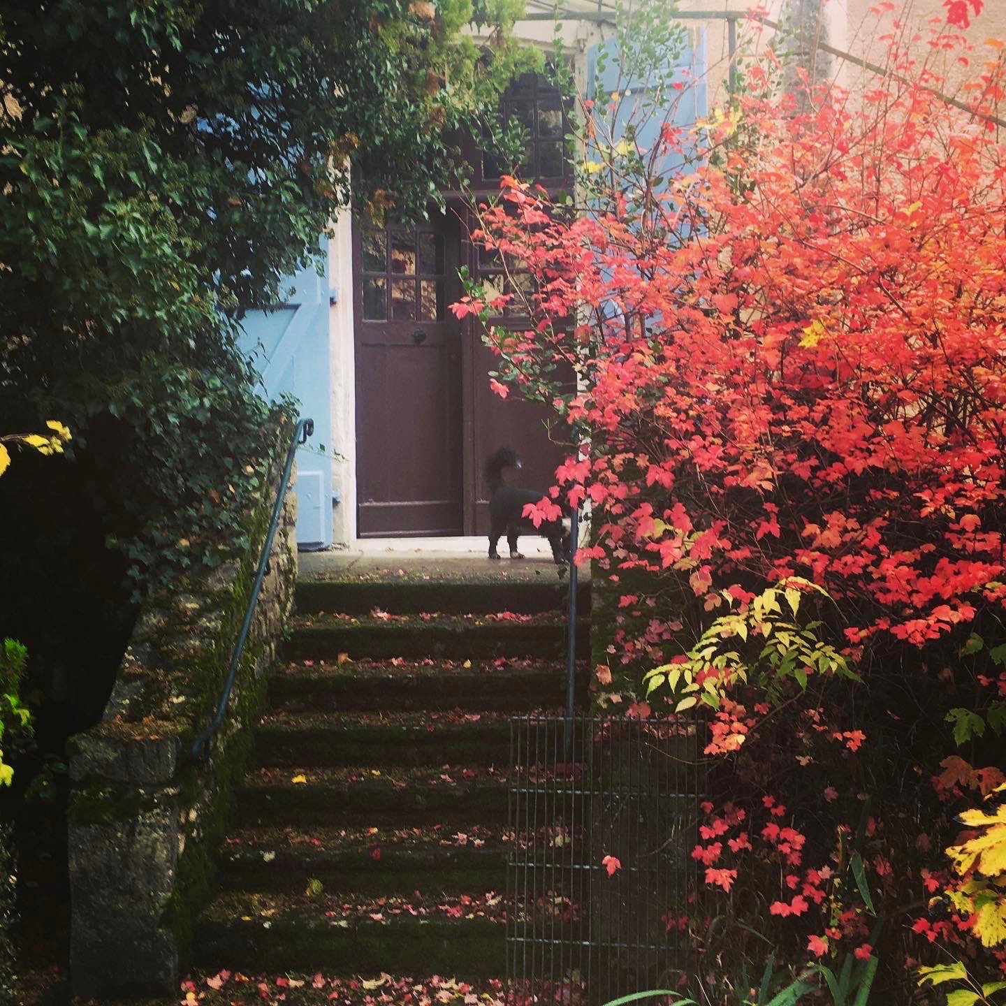 Le 7 des Tonneliers, Castelfranc - photo 27