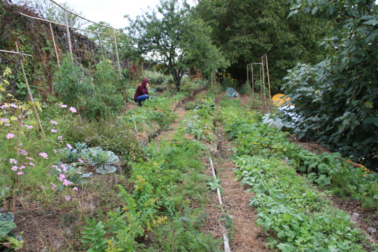 Jardiner au fil des saisons
