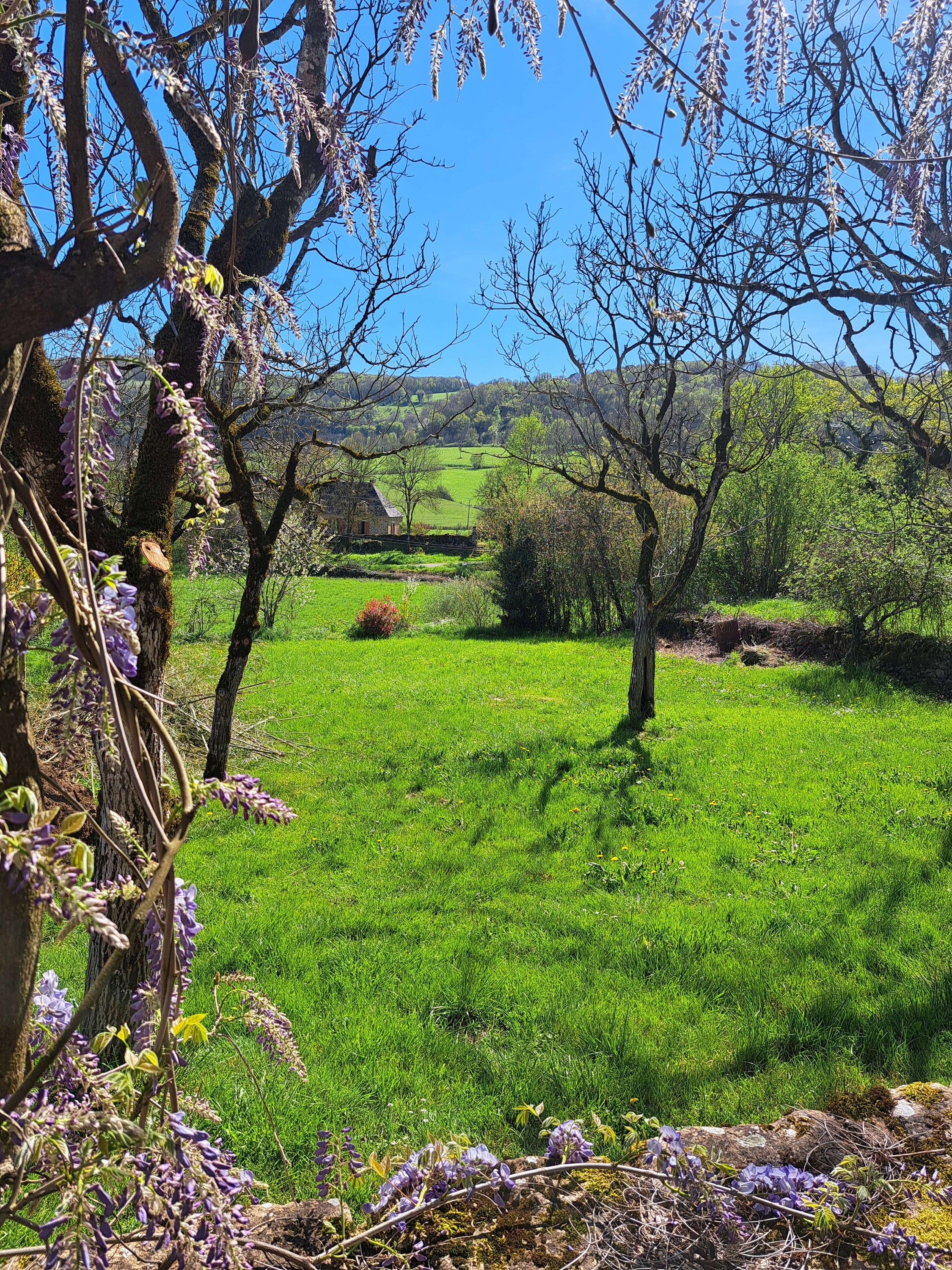 Instant Lot, Strenquels - photo 7