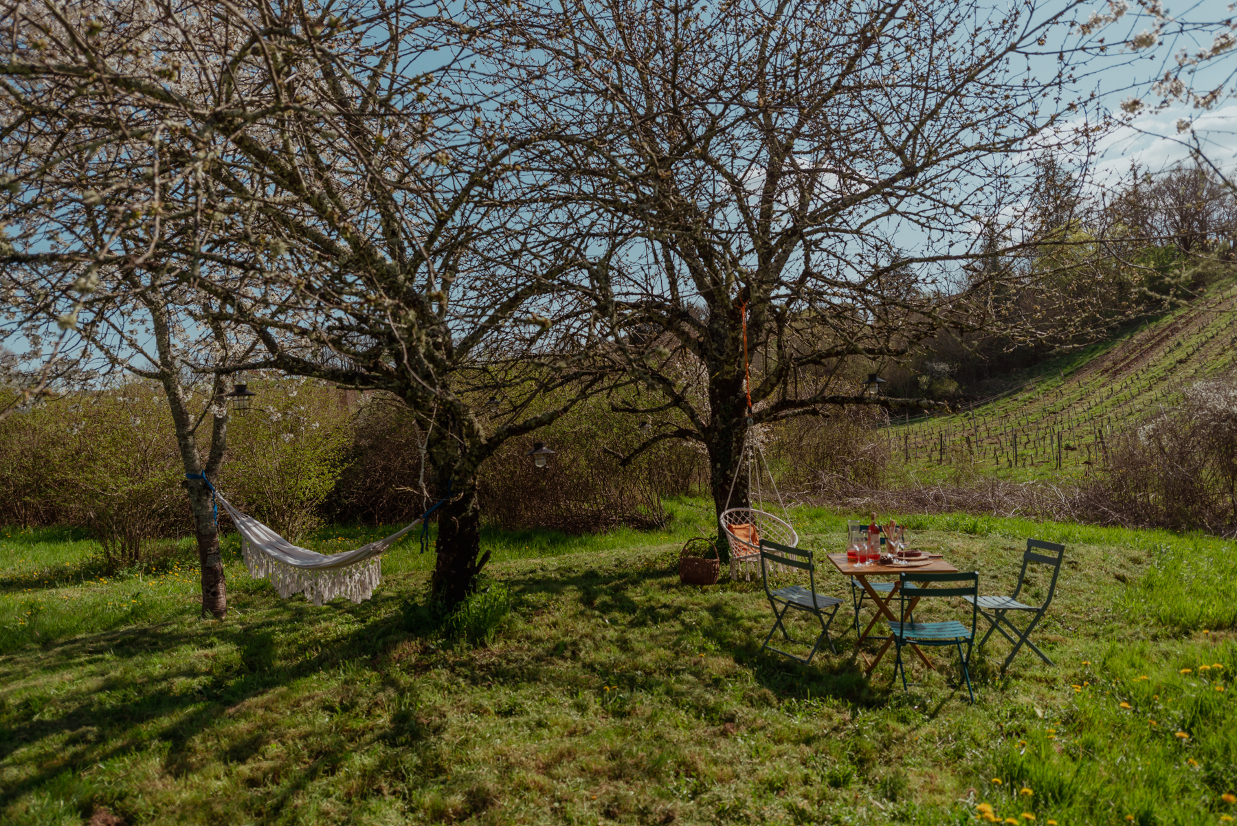 Les Jardins de Lumière - Le Gîte Alba, Floressas - photo 17