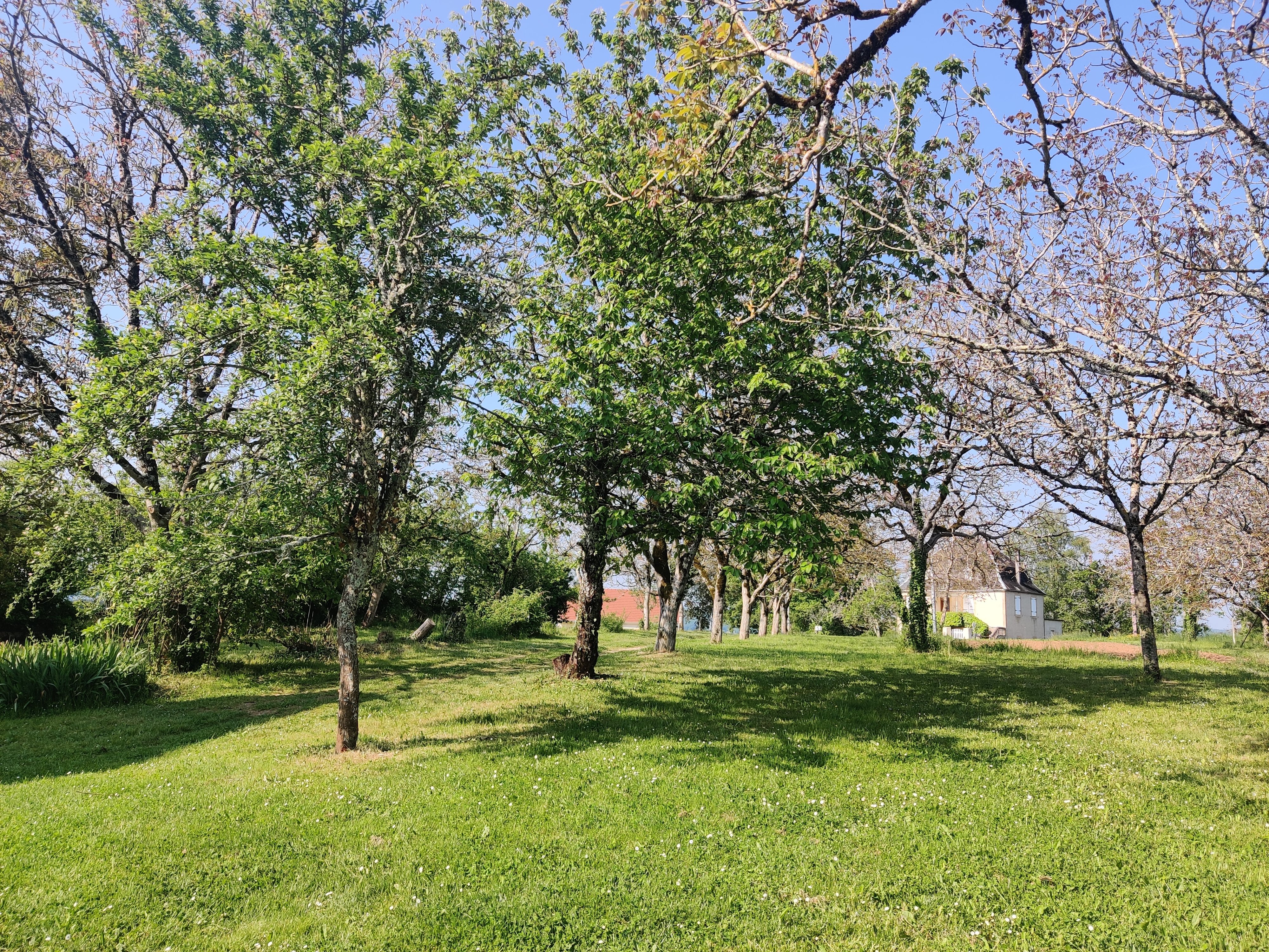 Le Mazet Lou, Saint-Michel-Loubéjou - photo 6