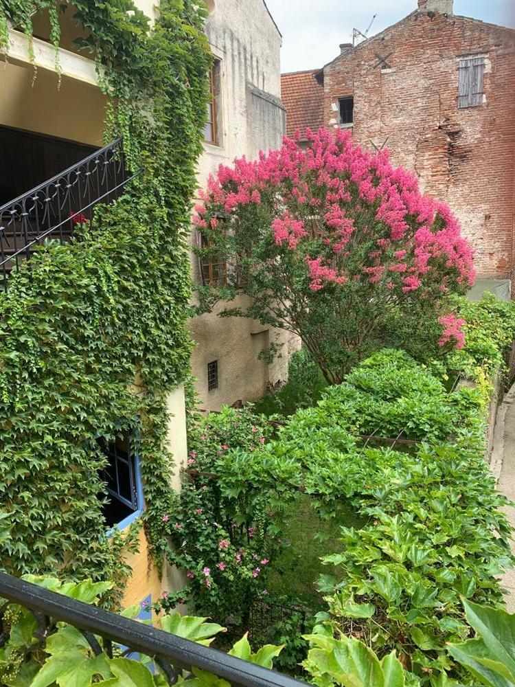 La Maison de Grand Mie, Cahors - photo 7