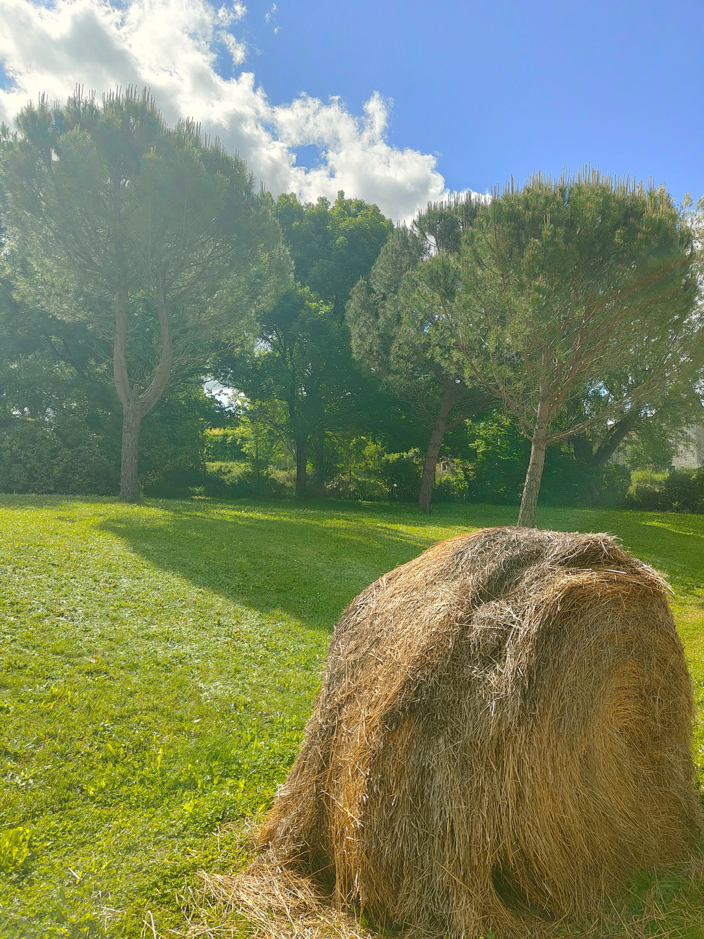 Les Murmures d'Ailleurs, Montlauzun - photo 12