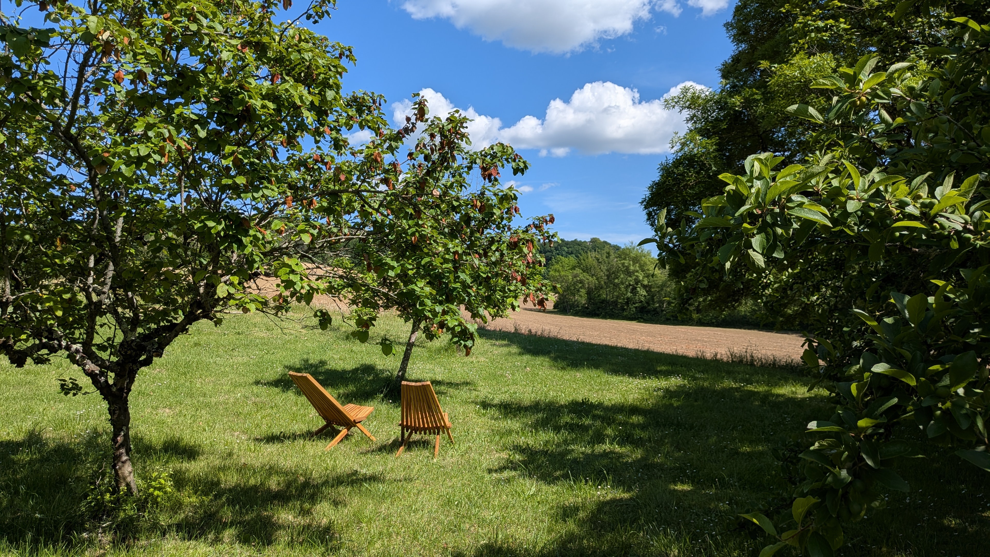 Mas Labrugade - Le IIII, Montcuq-en-Quercy-Blanc - photo 42