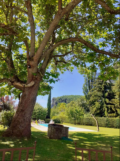 Mas de Lucet, Saint Géry-Vers - photo 6