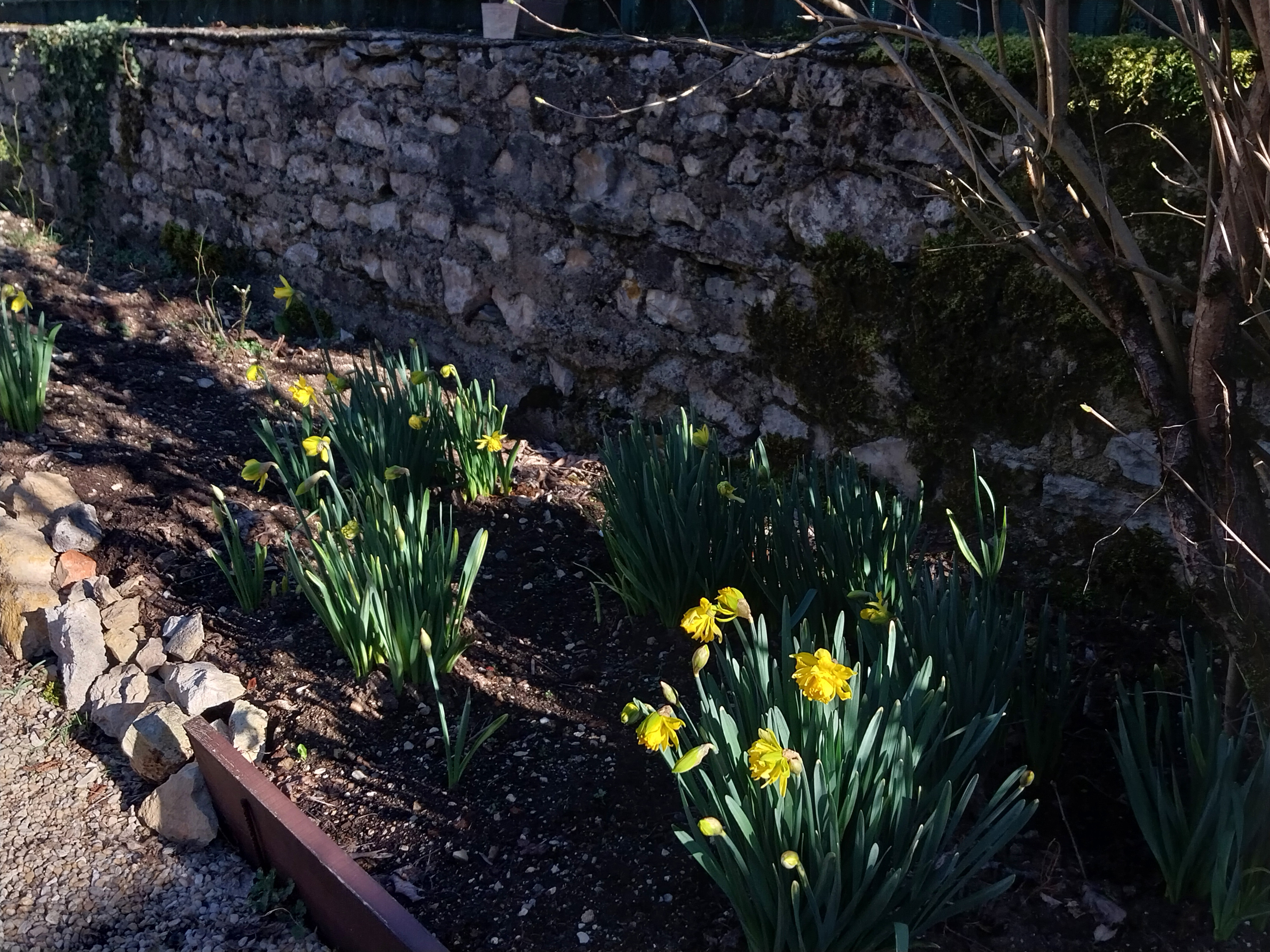 Gîte d'étape Les Volets Rouges, Cœur de Causse - photo 5