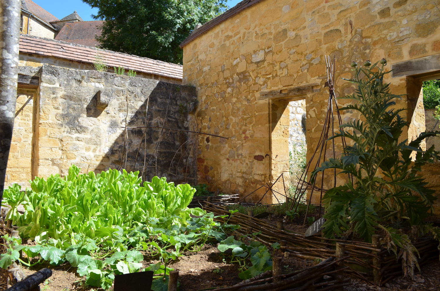 Les Jardins de la Butte, Gourdon - photo 6
