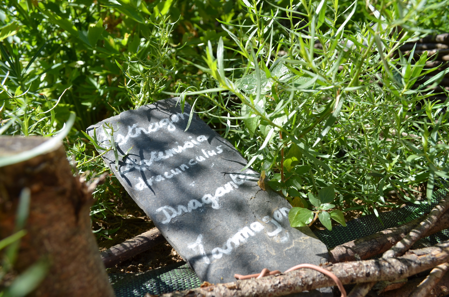 Les Jardins de la Butte, Gourdon - photo 7