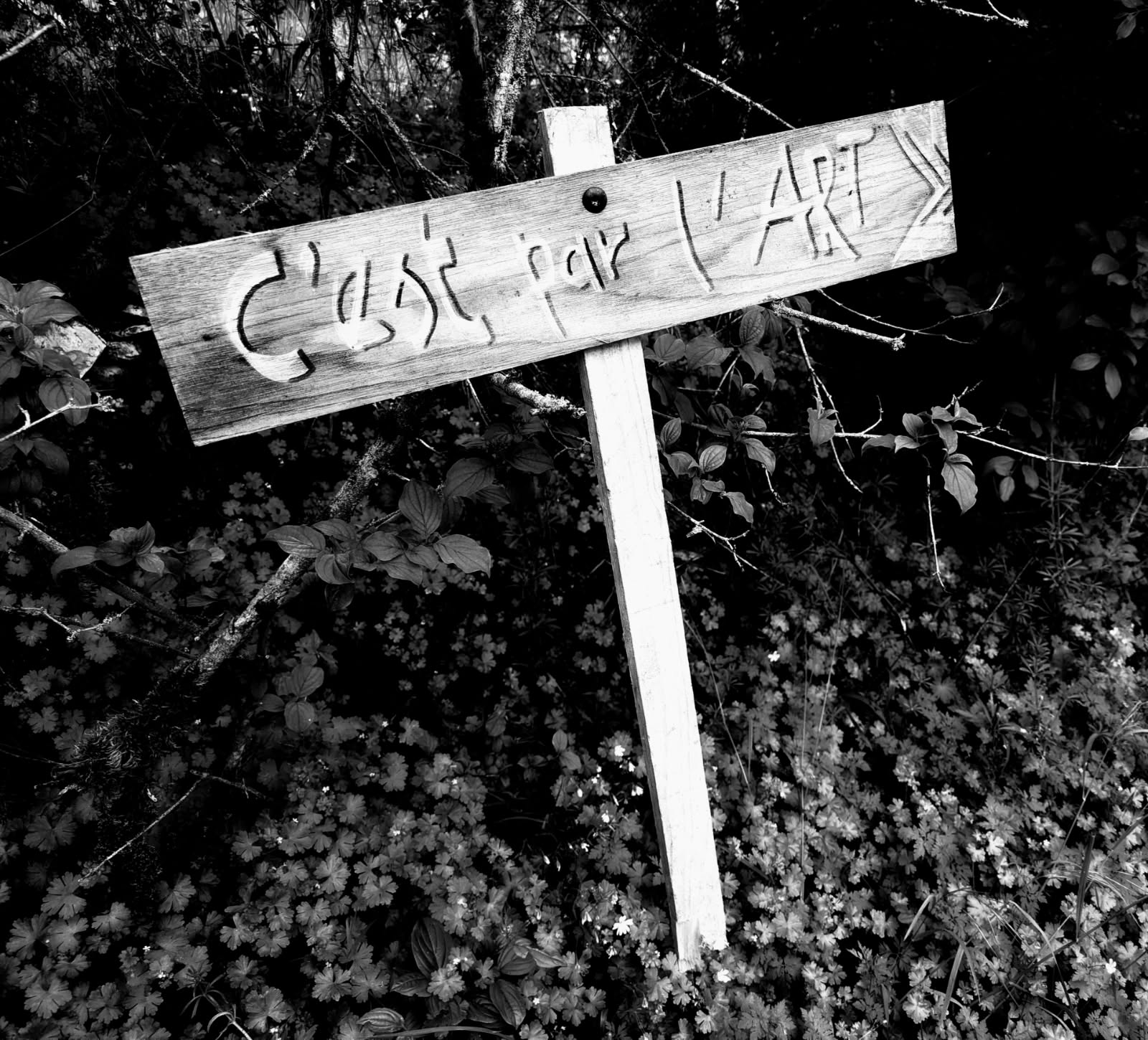 L'ANTIDOTE - Balade immersive "Le chemin Botarnique"