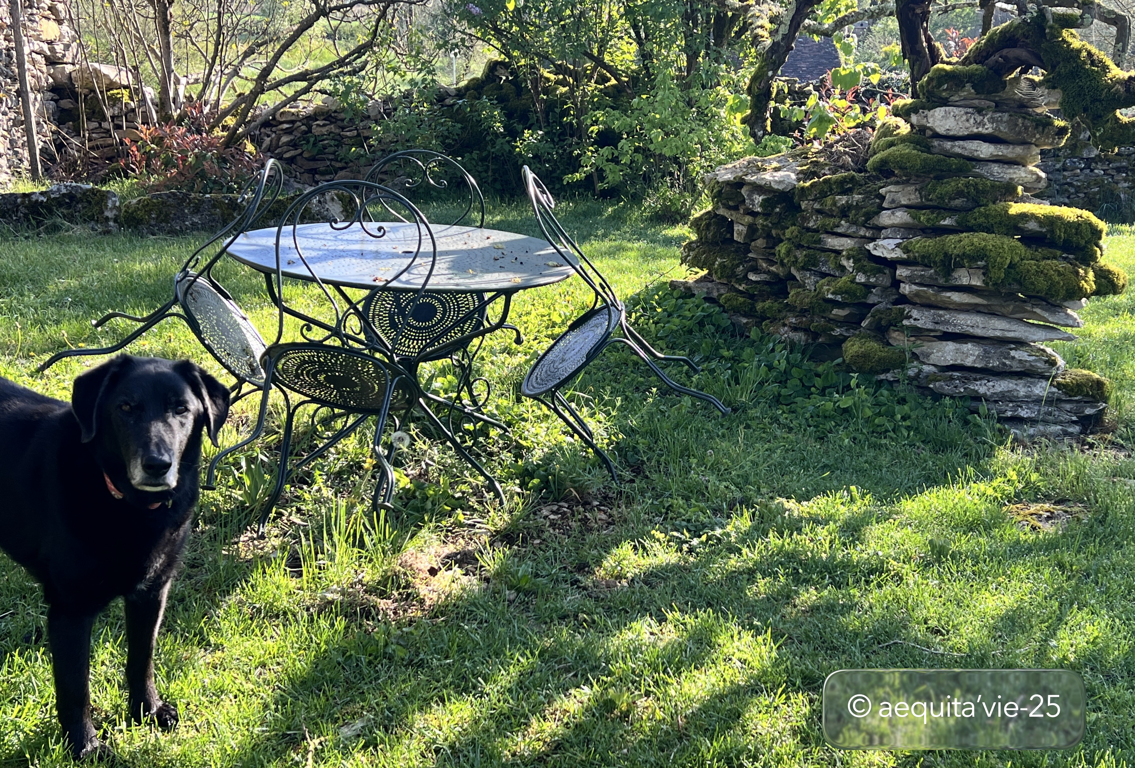 Aequita-vie, Caniac-du-Causse - photo 14