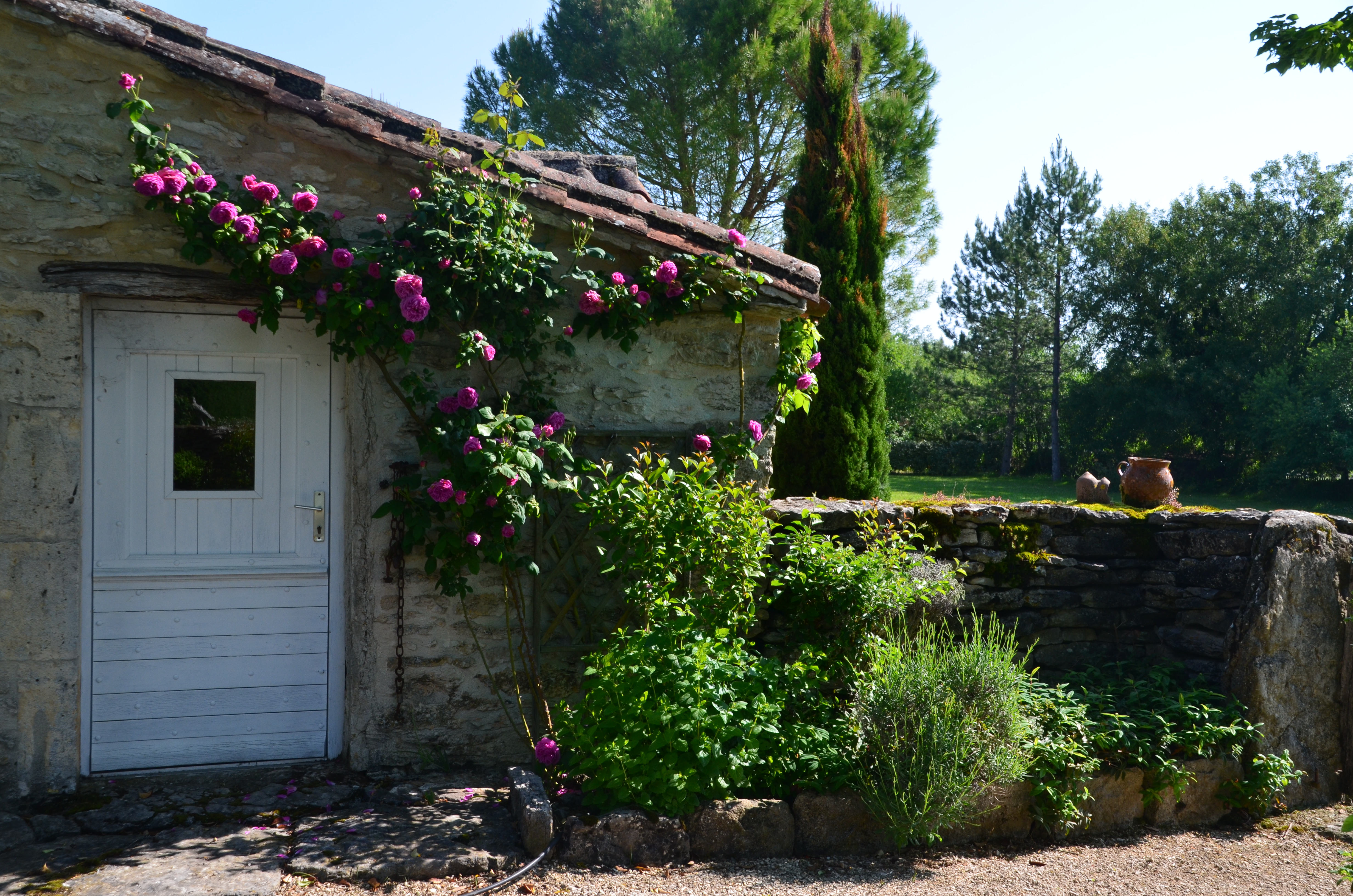 A l'Olivier, Aujols - photo 2