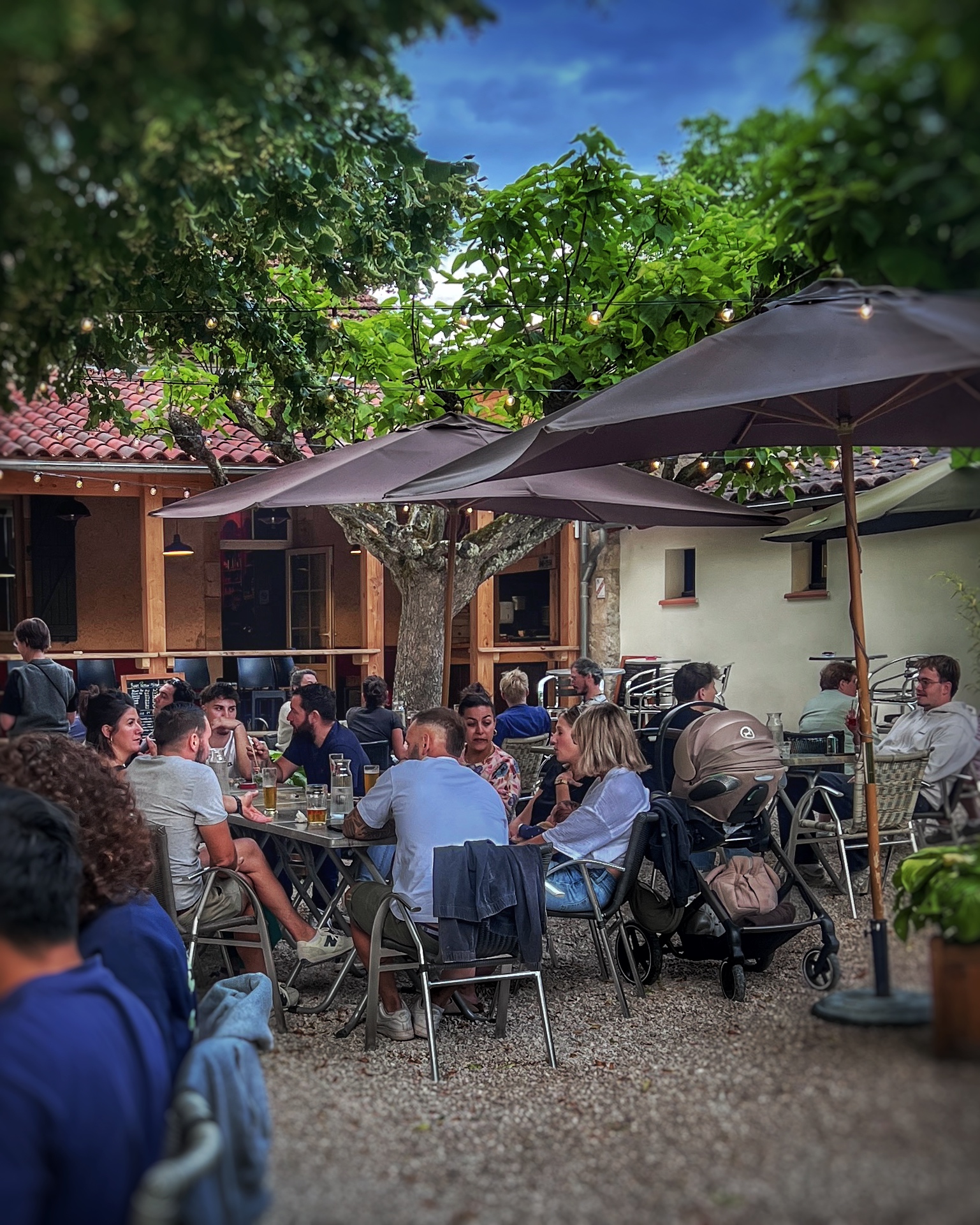 Le Paradou BBQ, Cénevières - photo 5