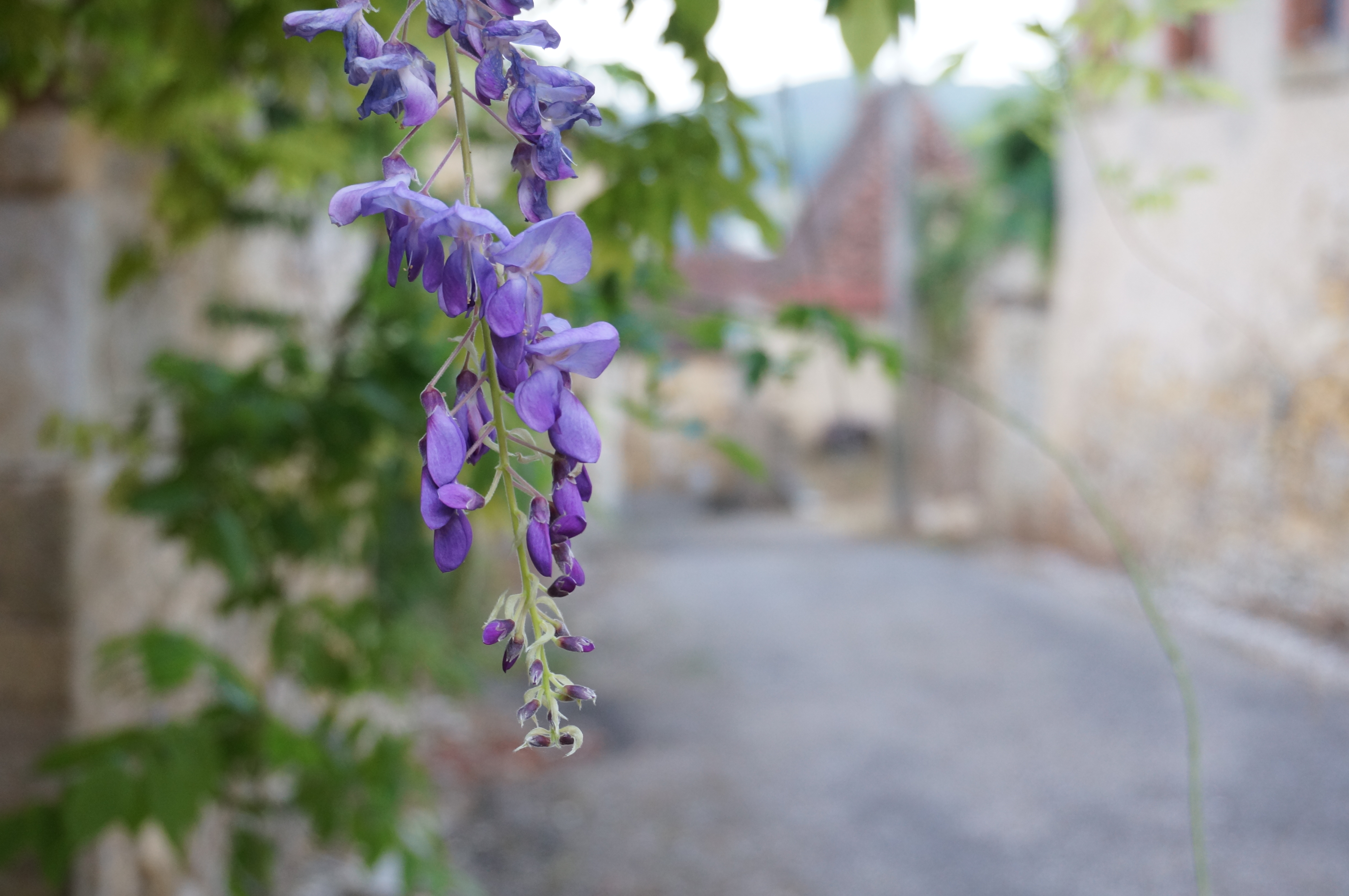 Parcours Sonore : voyagez à travers l’histoire, Le Vigan - photo 2