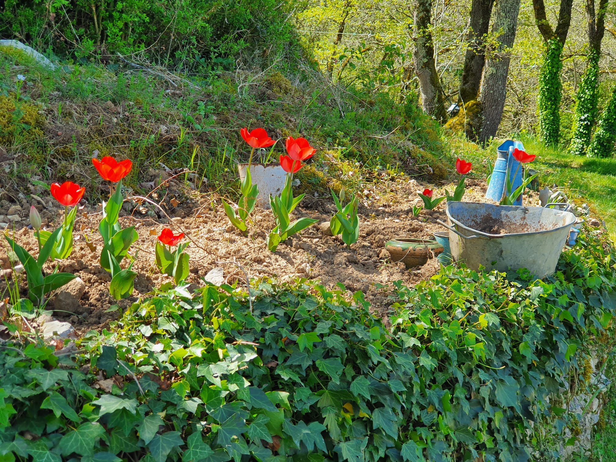 Le Gîte du Hameau, Saint-Clair - photo 22