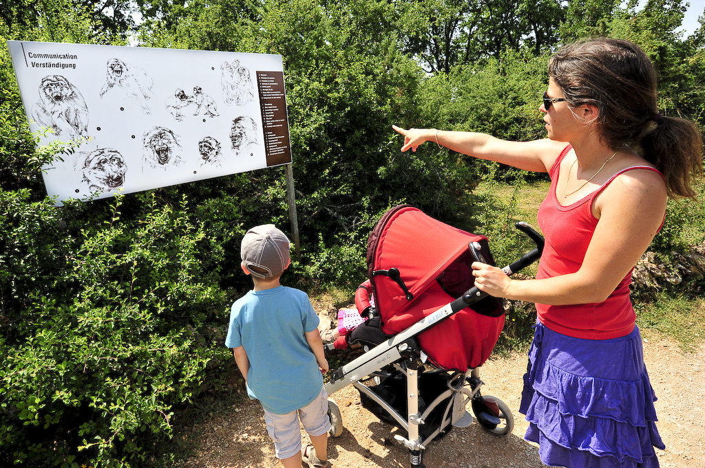 La Forêt des Singes, Rocamadour - photo 7