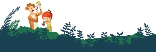 Journée écocitoyenne et Fête de la Nature