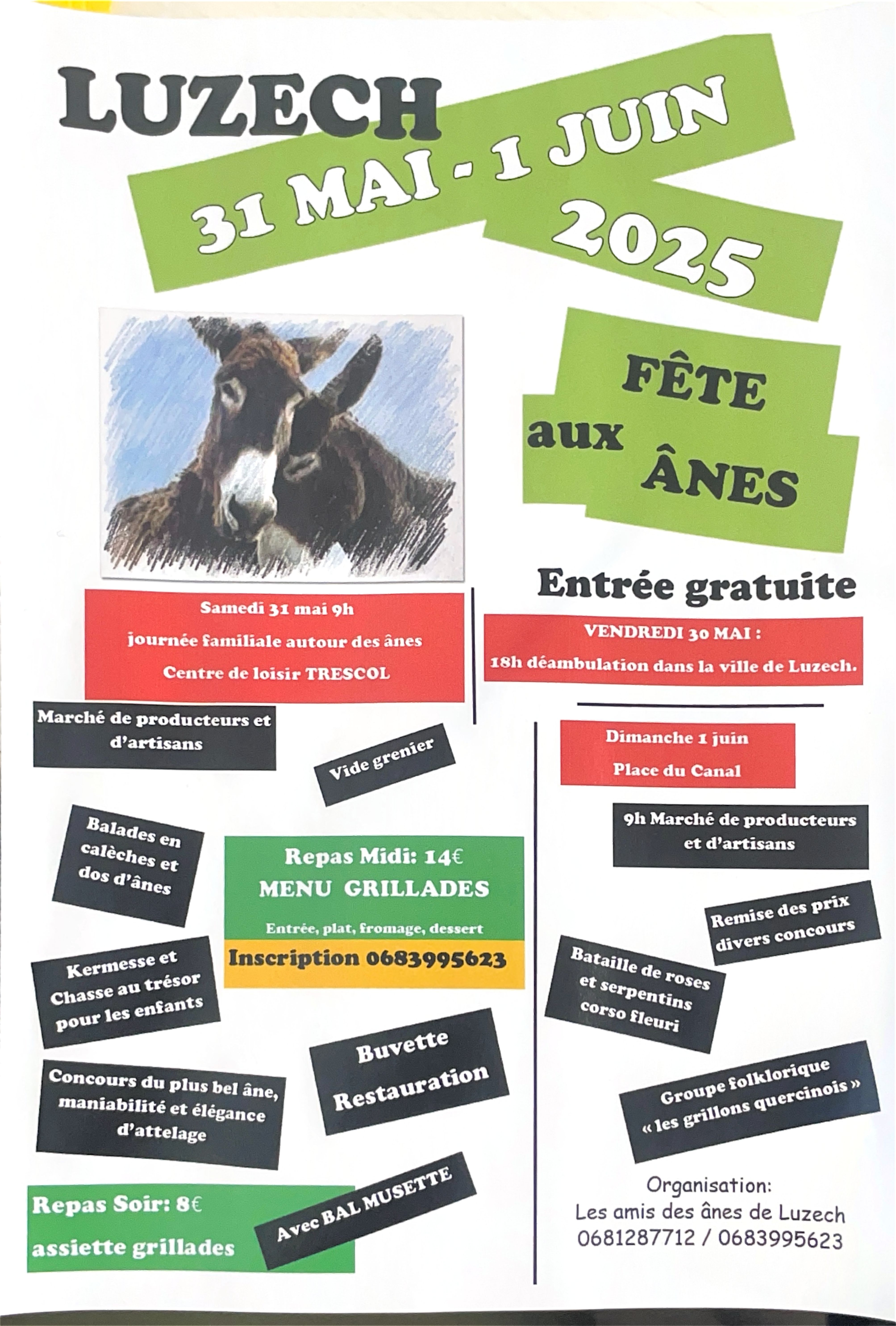 La fête aux ânes à Luzech