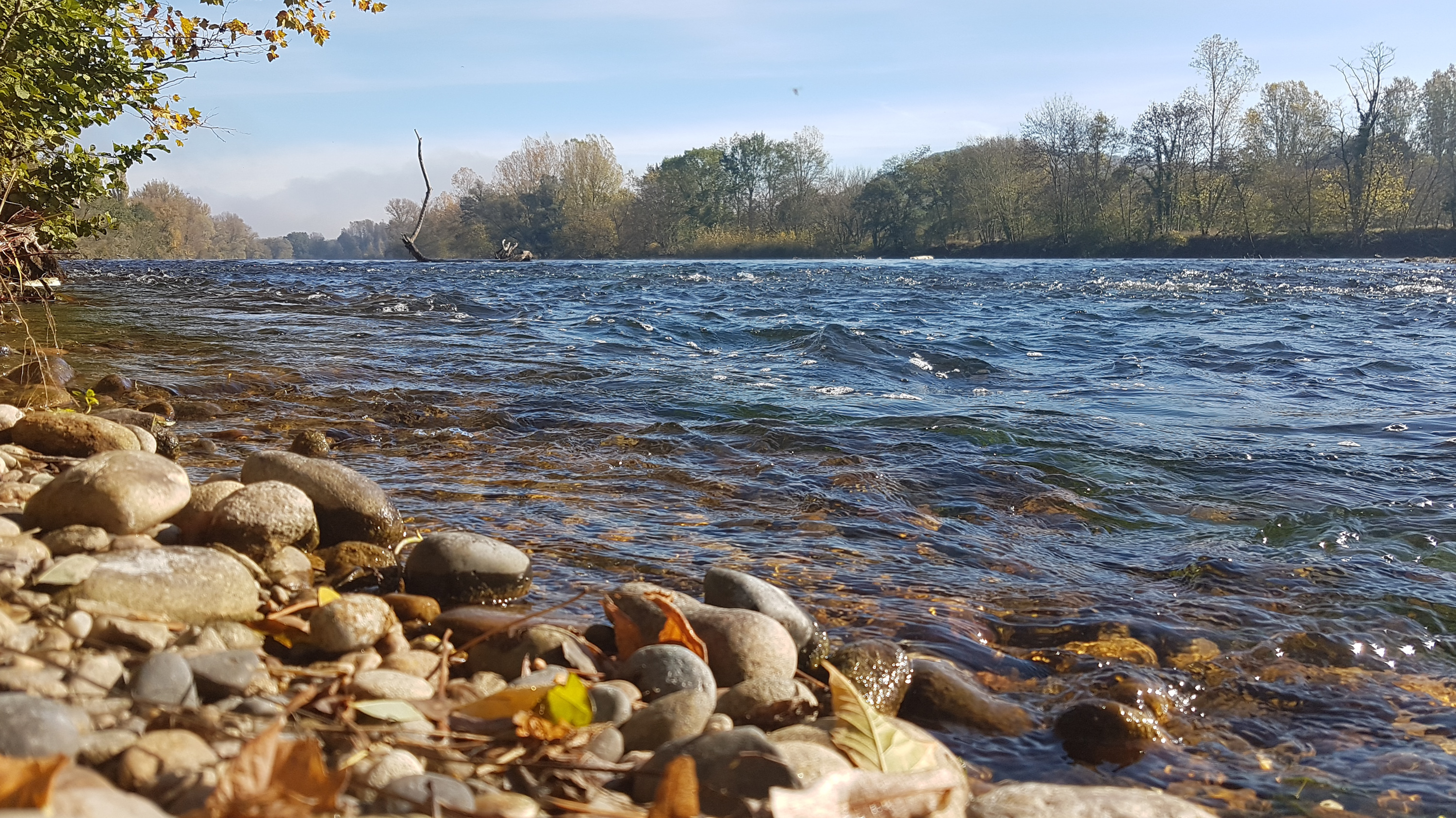 Baignade du Port de Creysse dans la rivière Dordogne, Creysse - photo 6