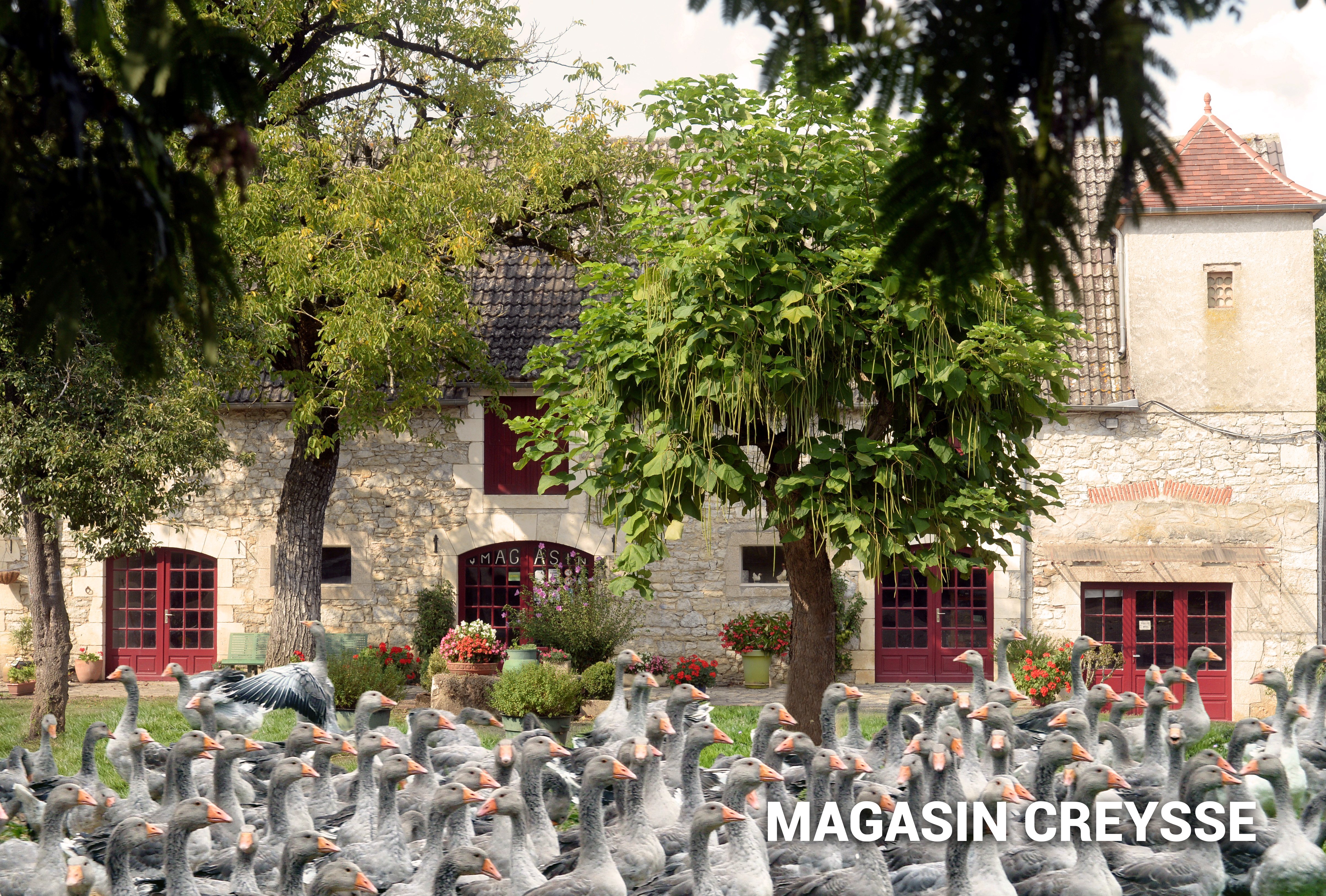 La Campagnoise