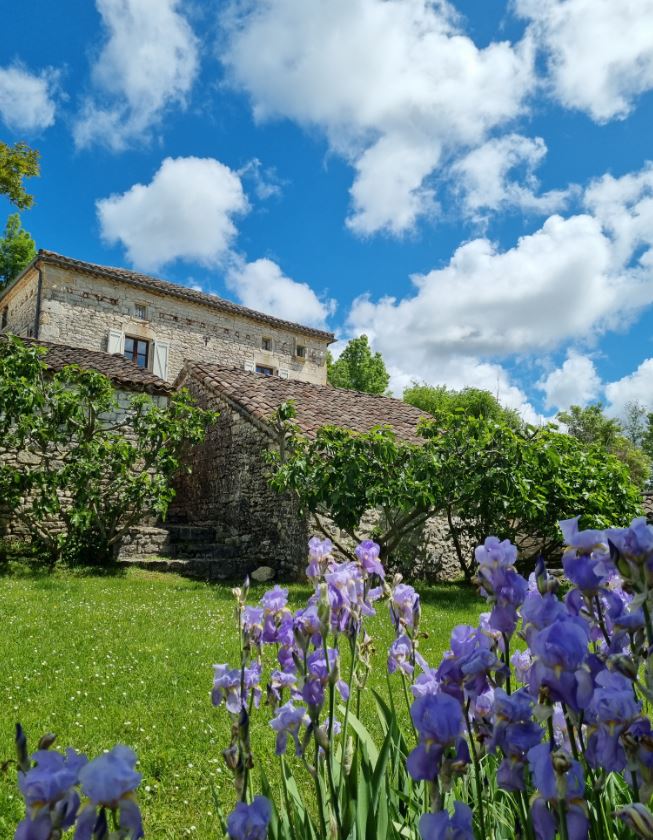 Les collines du Quercy Blanc - La Forge, Castelnau Montratier-Sainte Alauzie - photo 7