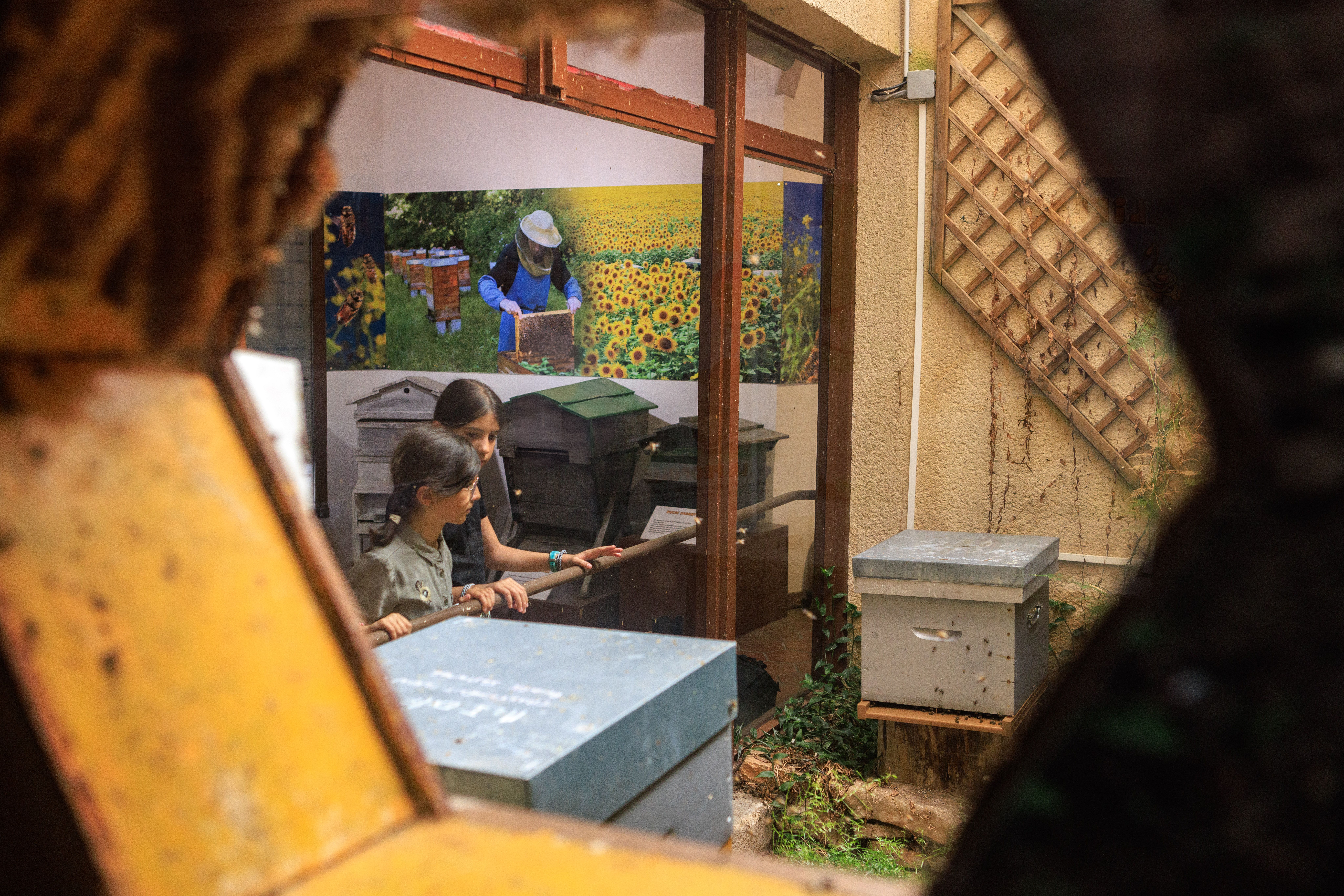 La Maison des Abeilles - Musée Vivant, Rocamadour - photo 4