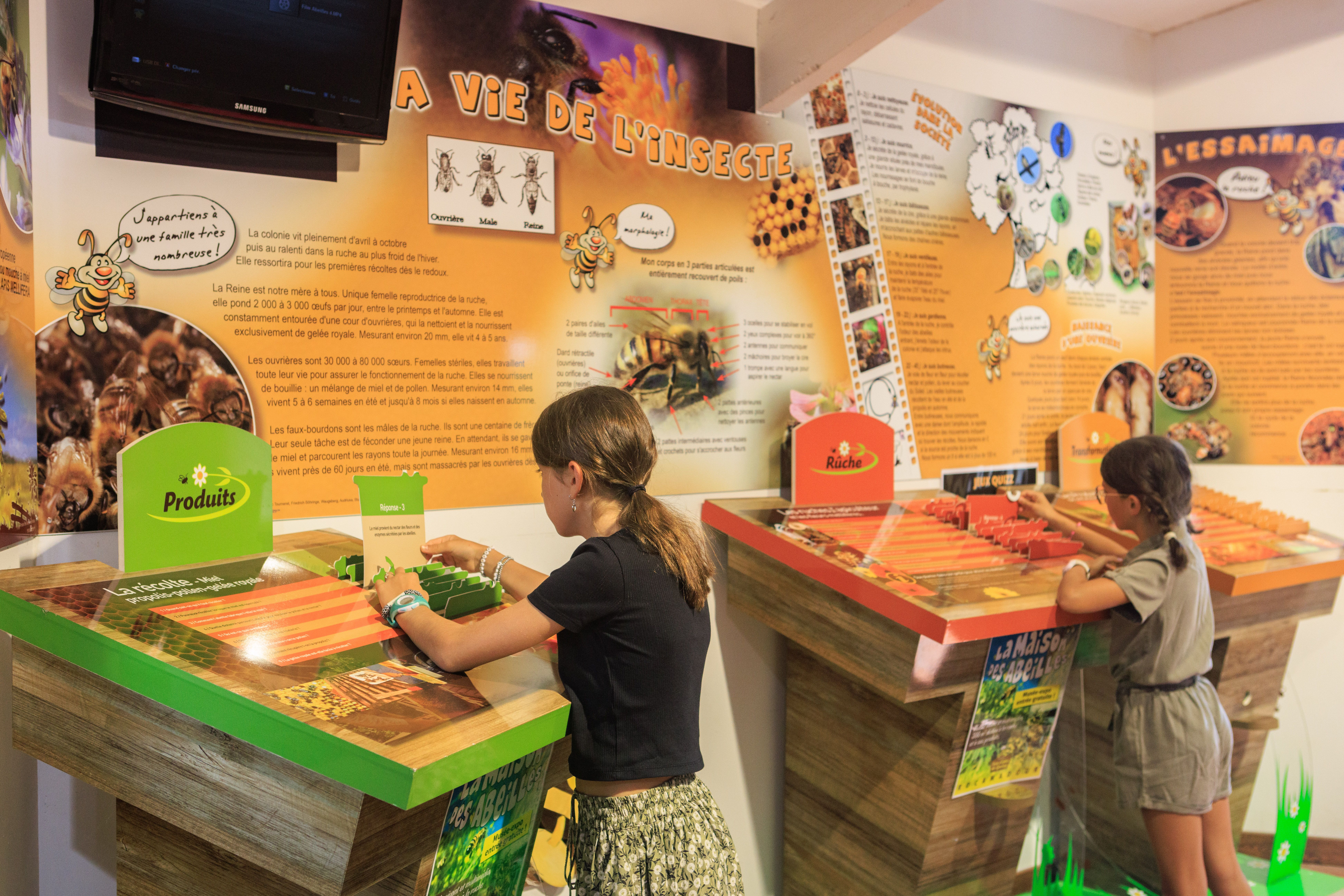 La Maison des Abeilles - Musée Vivant, Rocamadour - photo 5