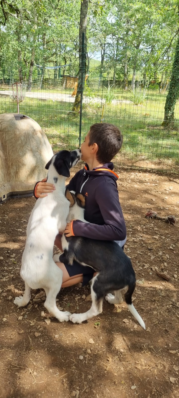 La Truf'Fun, Esclauzels - photo 10