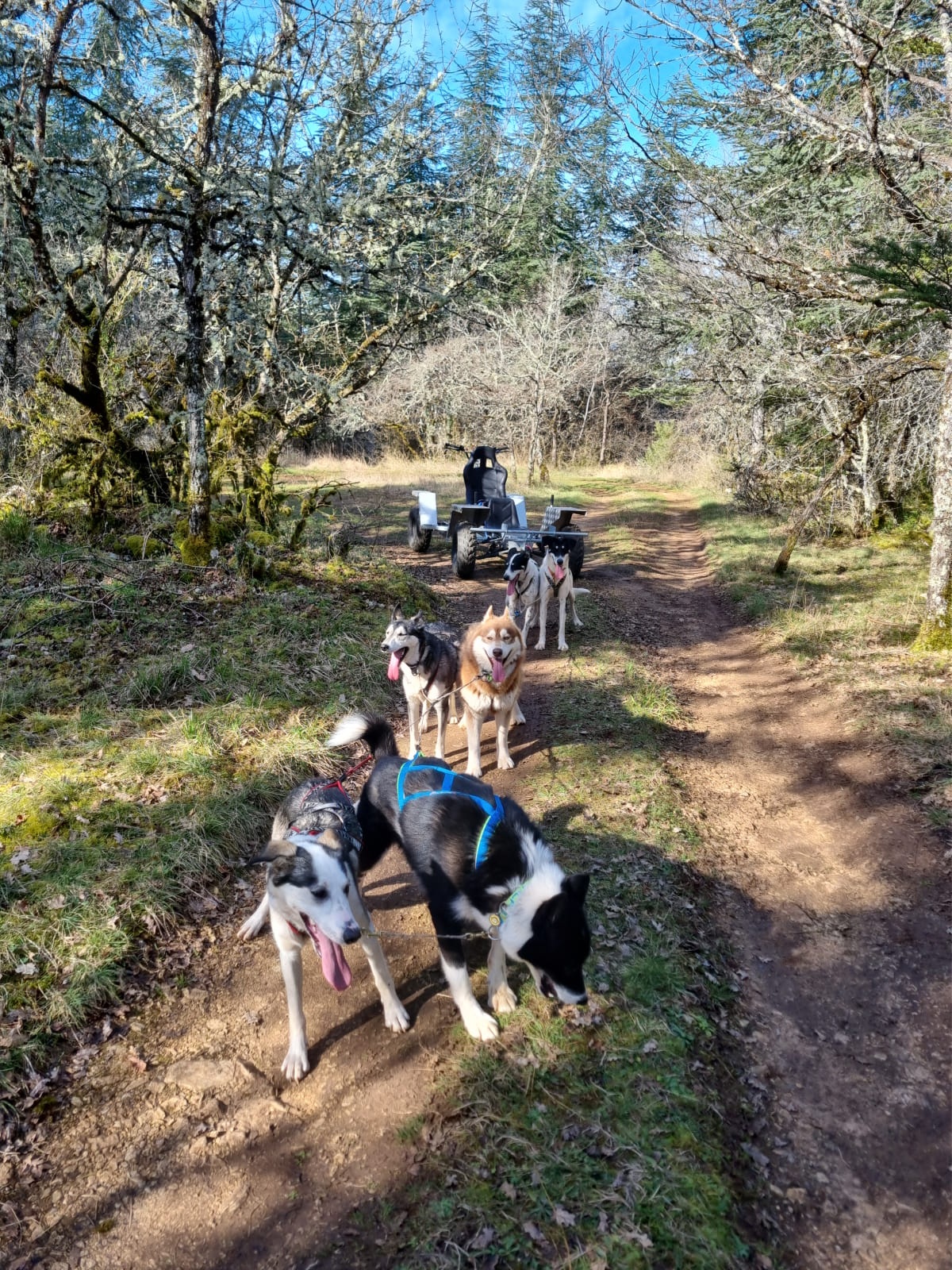 La Truf'Fun, Esclauzels - photo 11