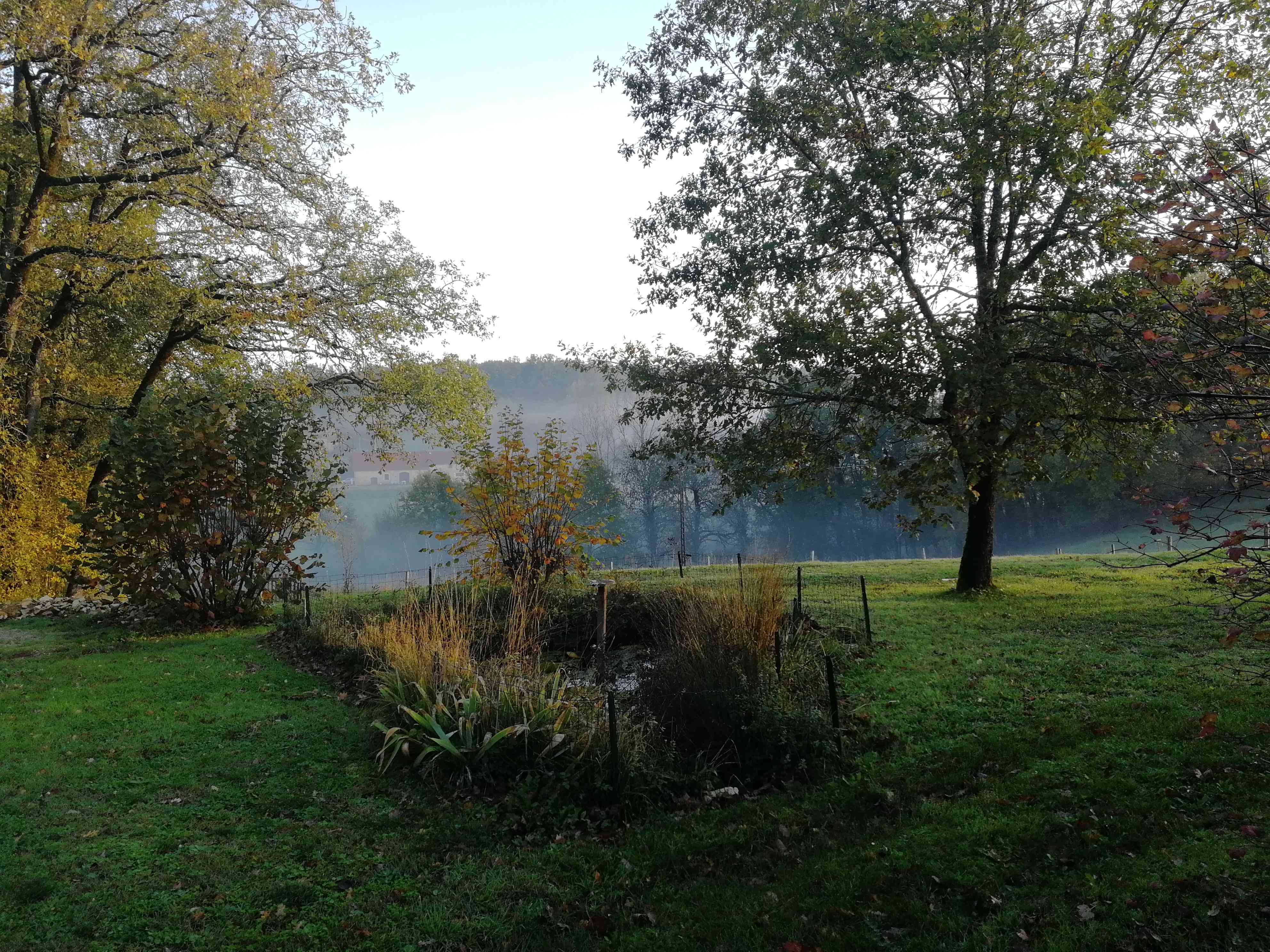 Domaine les Curades : l'Orée des Chênes
