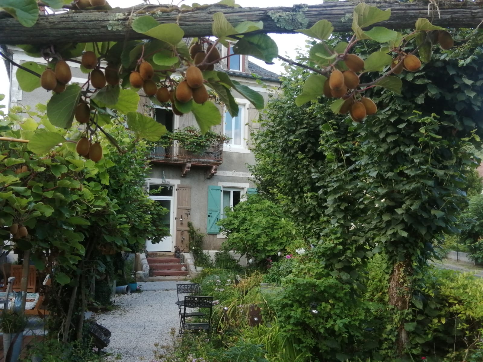La Maison ô Kiwis - Le gîte Zénitude, Saint-Denis-lès-Martel - photo 14