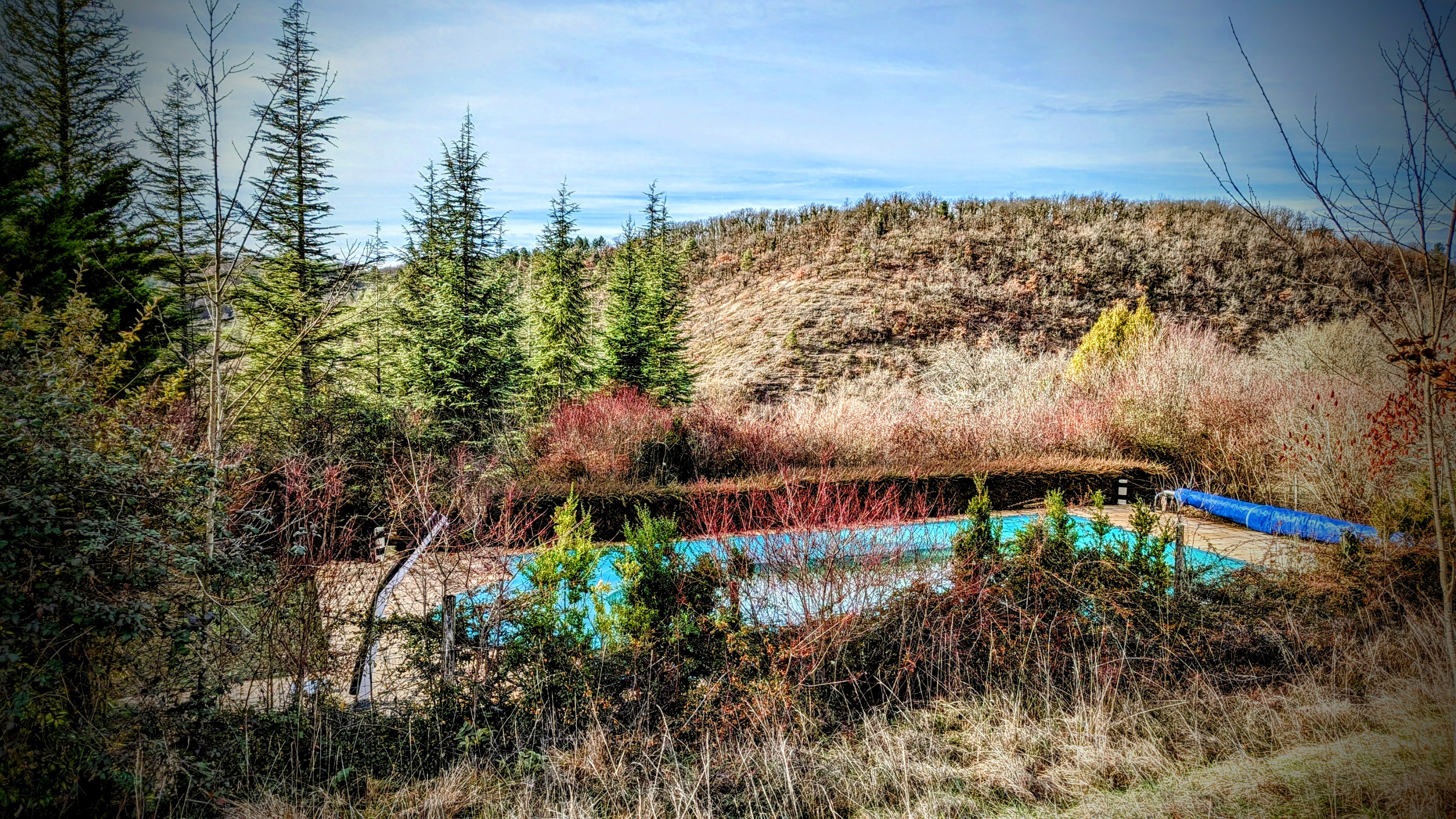La piscine et son environnement nature sans vis à vis