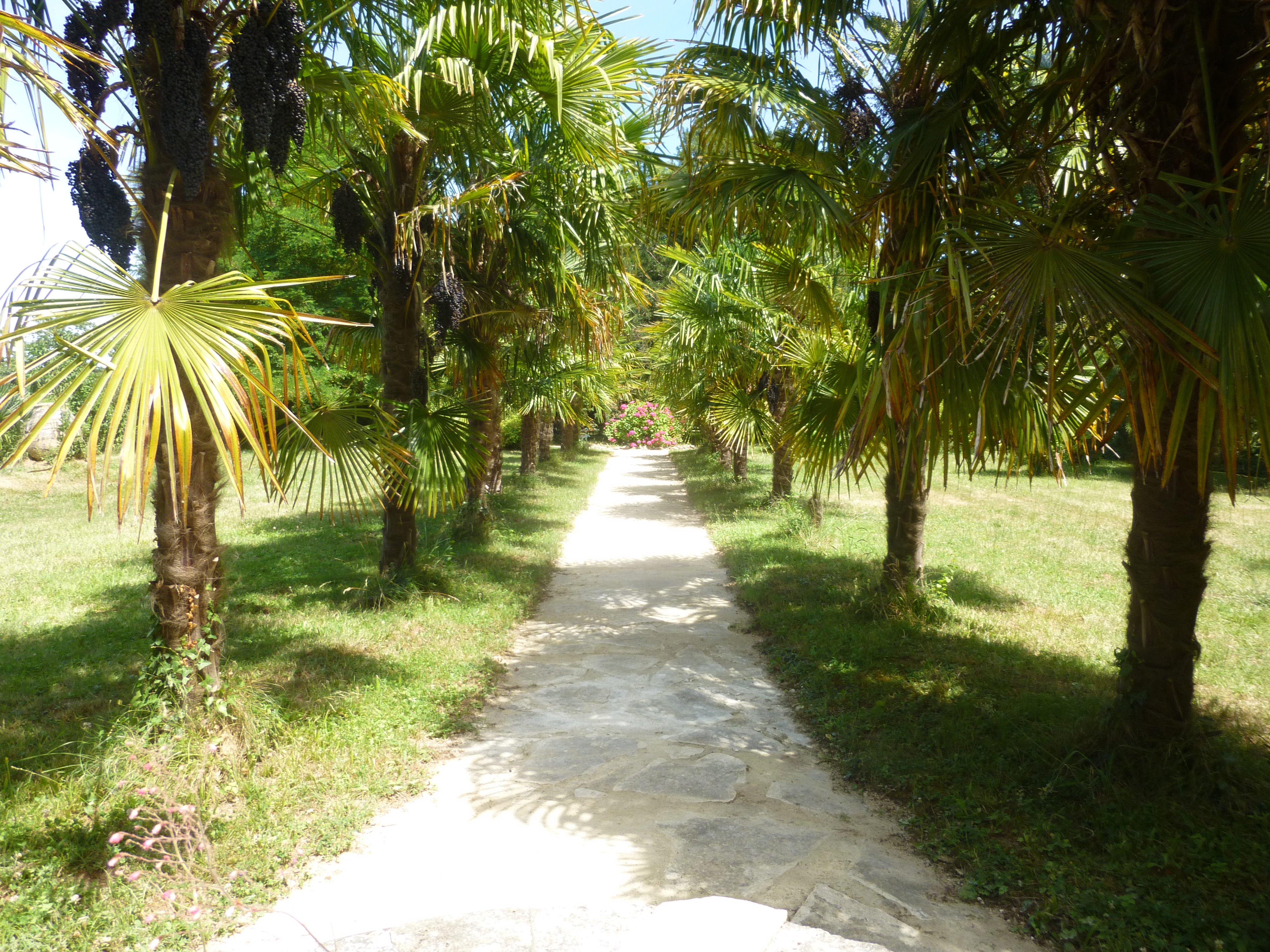 Domaine De La Source Bleue - La Tour, Touzac - photo 4