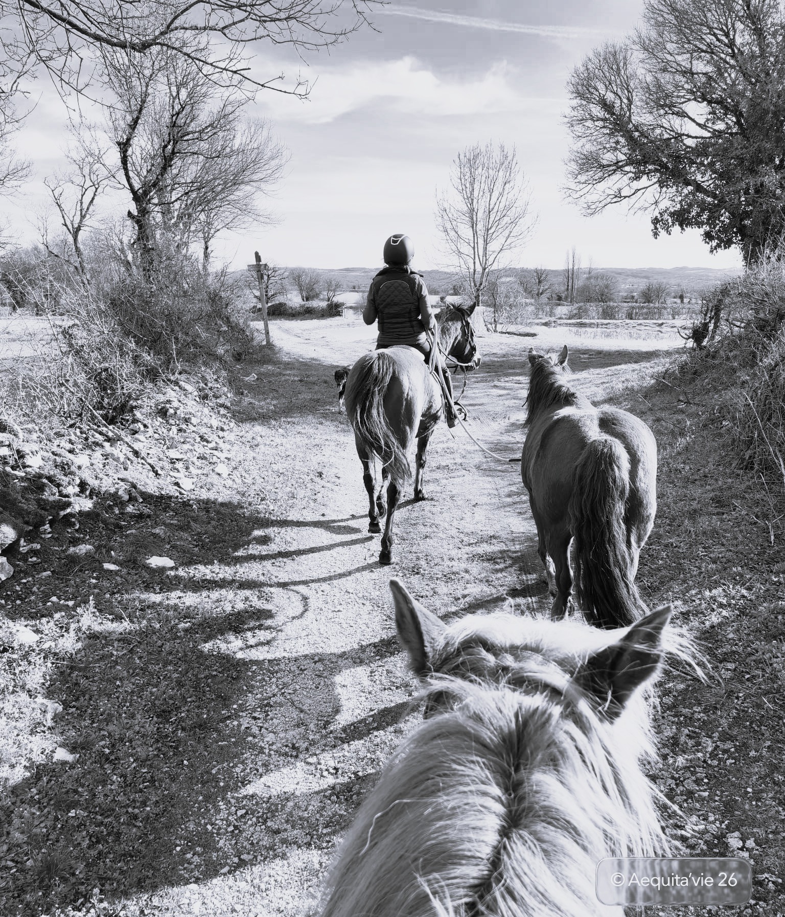 Aequita-vie, Caniac-du-Causse - photo 15