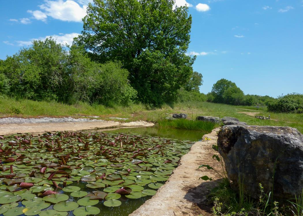 Lac de Lapeyre_06 © Lot Tourisme - C. Sanchez