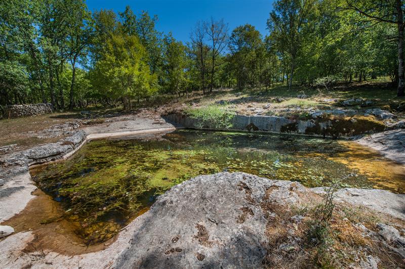Lac du Trébou © Lot Tourisme - C. ORY