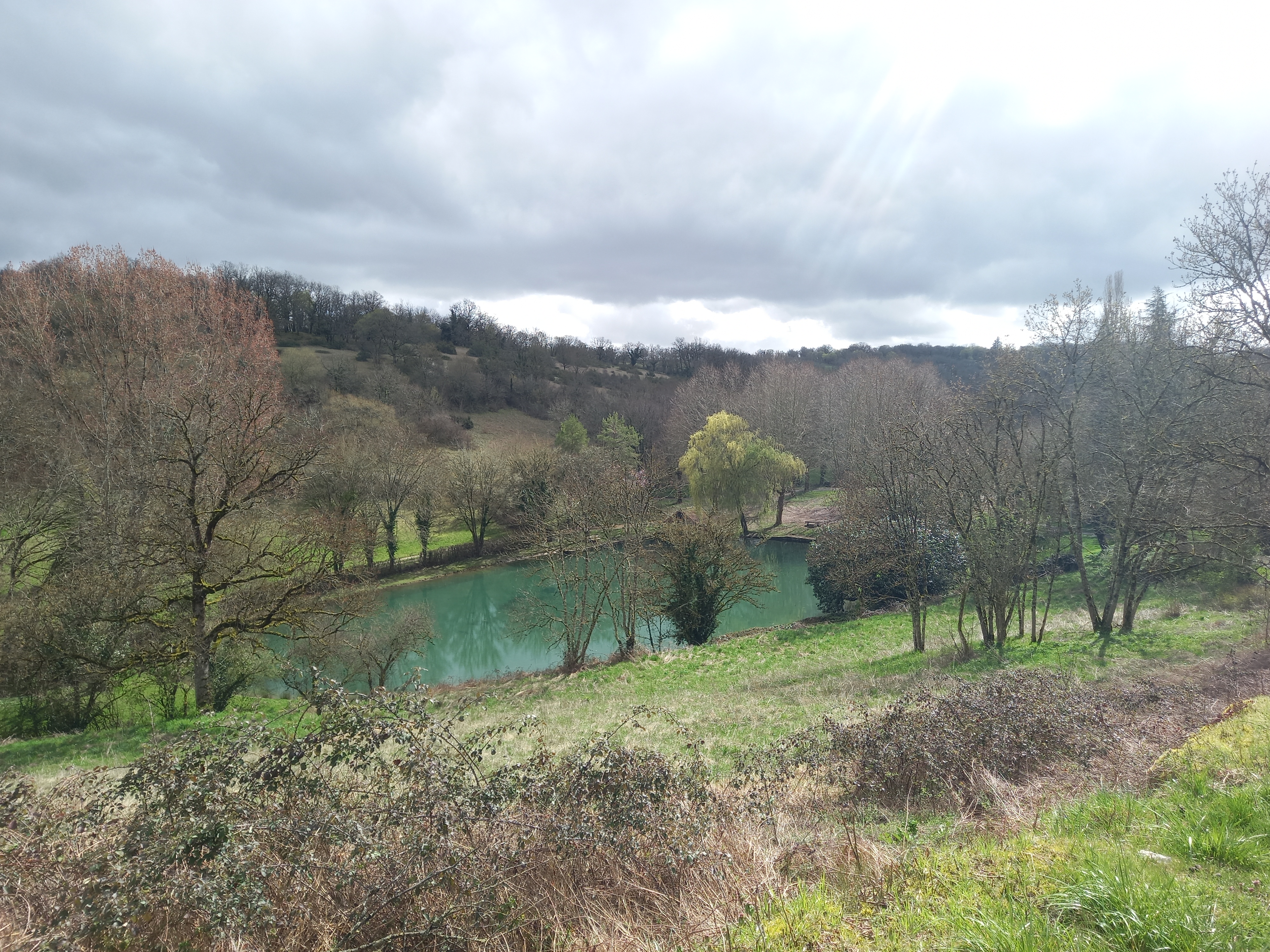 Causalis, Montfaucon - photo 39