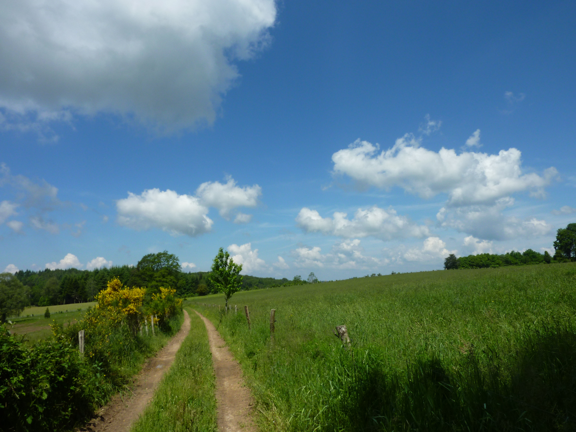 Les Jardins du Ségala, Sousceyrac-en-Quercy - photo 8