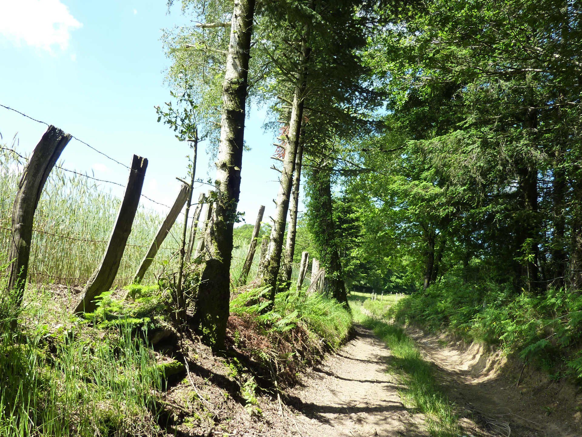 Les Jardins du Ségala, Sousceyrac-en-Quercy - photo 9