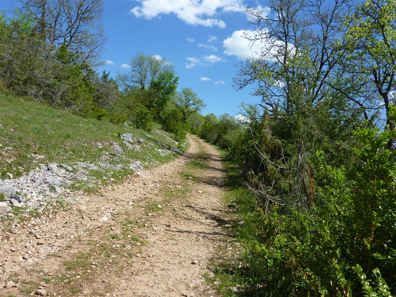 Lacave - Montée sur le causse _14 © Lot Tourisme - C. Sanchez